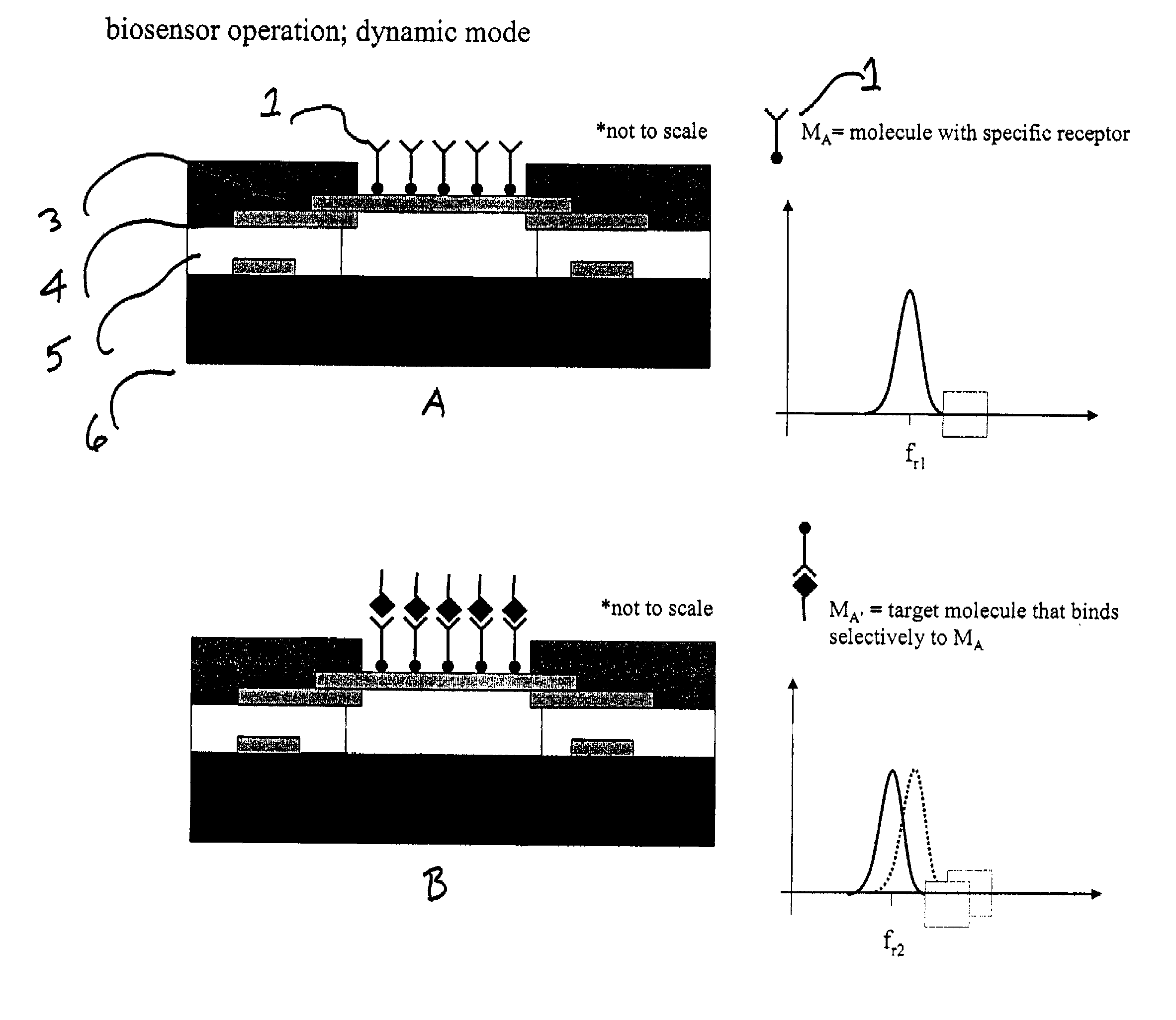 Integrated nanomechanical sensor array chips