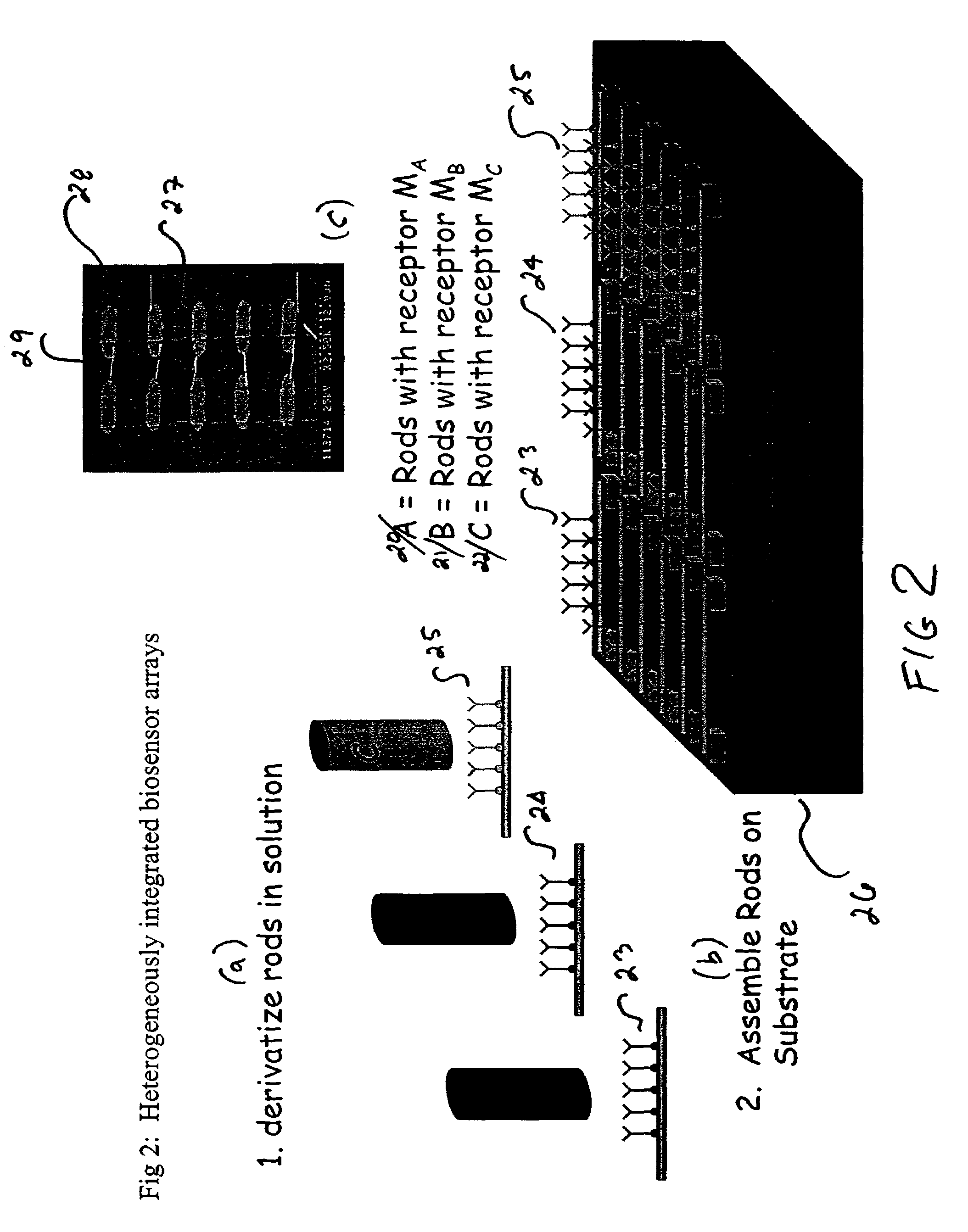 Integrated nanomechanical sensor array chips