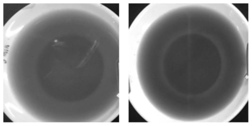 Strong-flavor flavoring liquid as well as preparation method and application thereof