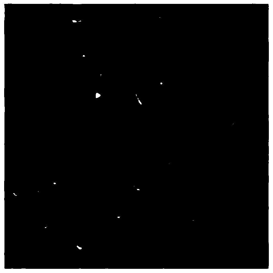 Preparation method of gelatin/CMC insect virus microcapsules