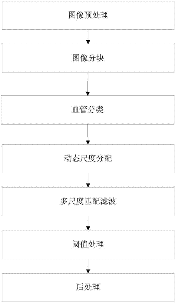 Retinal Vessel Extraction Method and System Based on Dynamic Scale Allocation