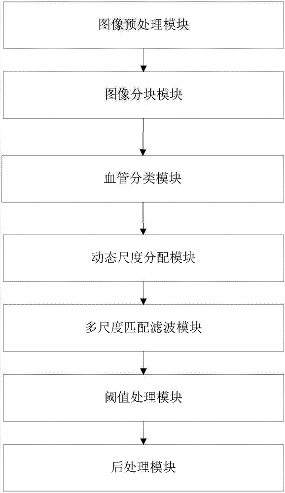 Retinal Vessel Extraction Method and System Based on Dynamic Scale Allocation