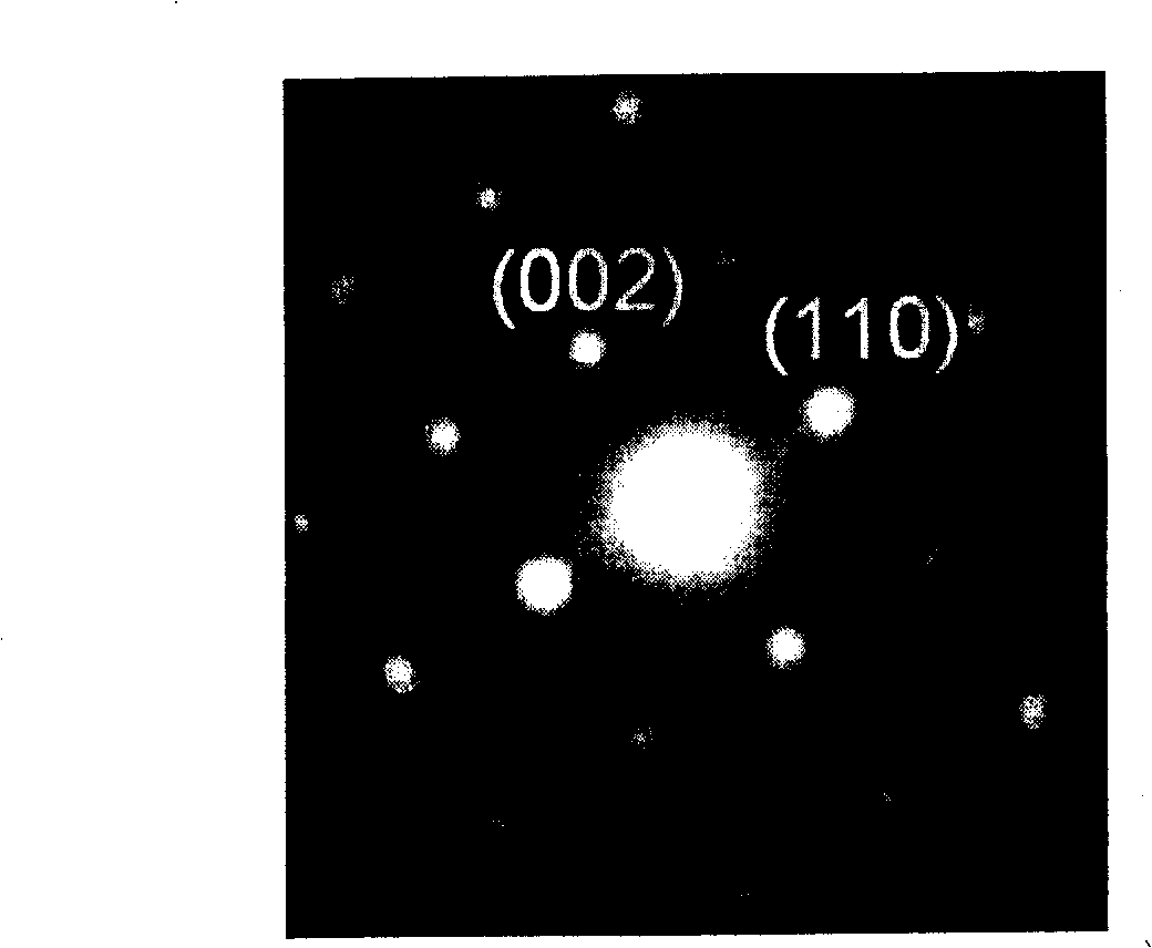 Microsphere of titanium dioxide in dandelion shape, and prepartion method