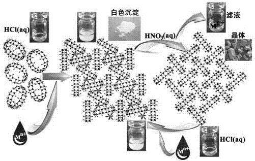 Application and application method of cucurbit(10)uril-based supramolecular self-assembly