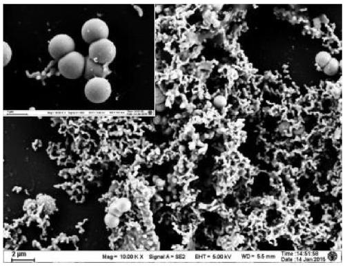 Preparation method of spherical lead oxide atmospheric mineral dust