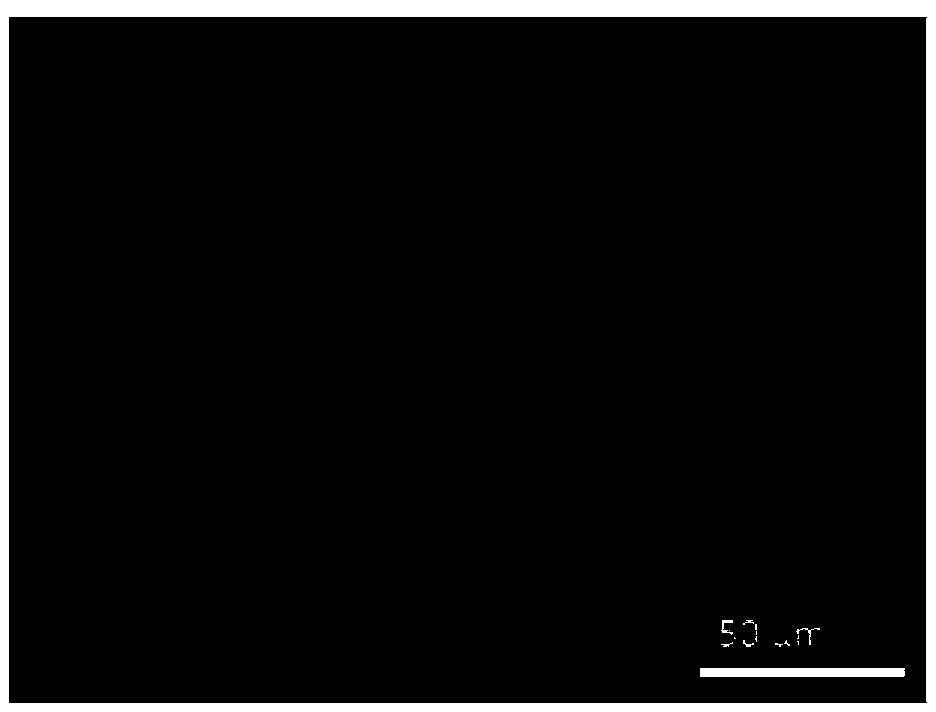 Method for carrying out selective area deposition of silver nano particles on surface of PDMS (Polydimethylsiloxane) elastic body