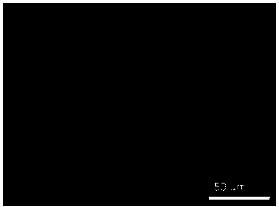 Method for carrying out selective area deposition of silver nano particles on surface of PDMS (Polydimethylsiloxane) elastic body