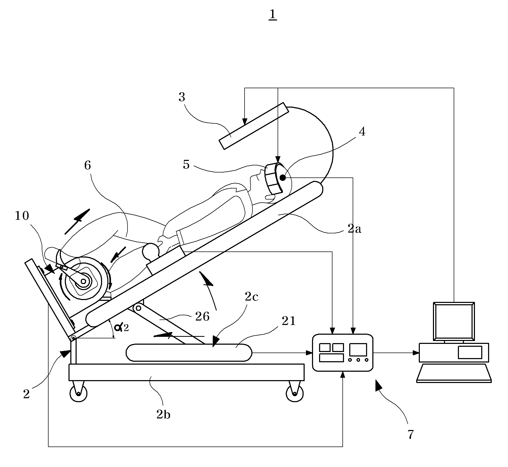 Early rehabilitation training system