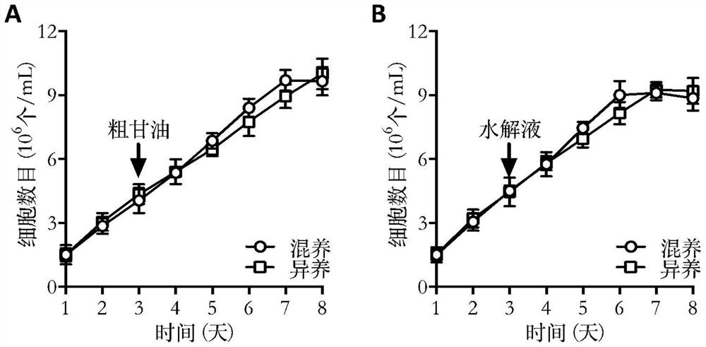 Microalgae culture medium and application thereof