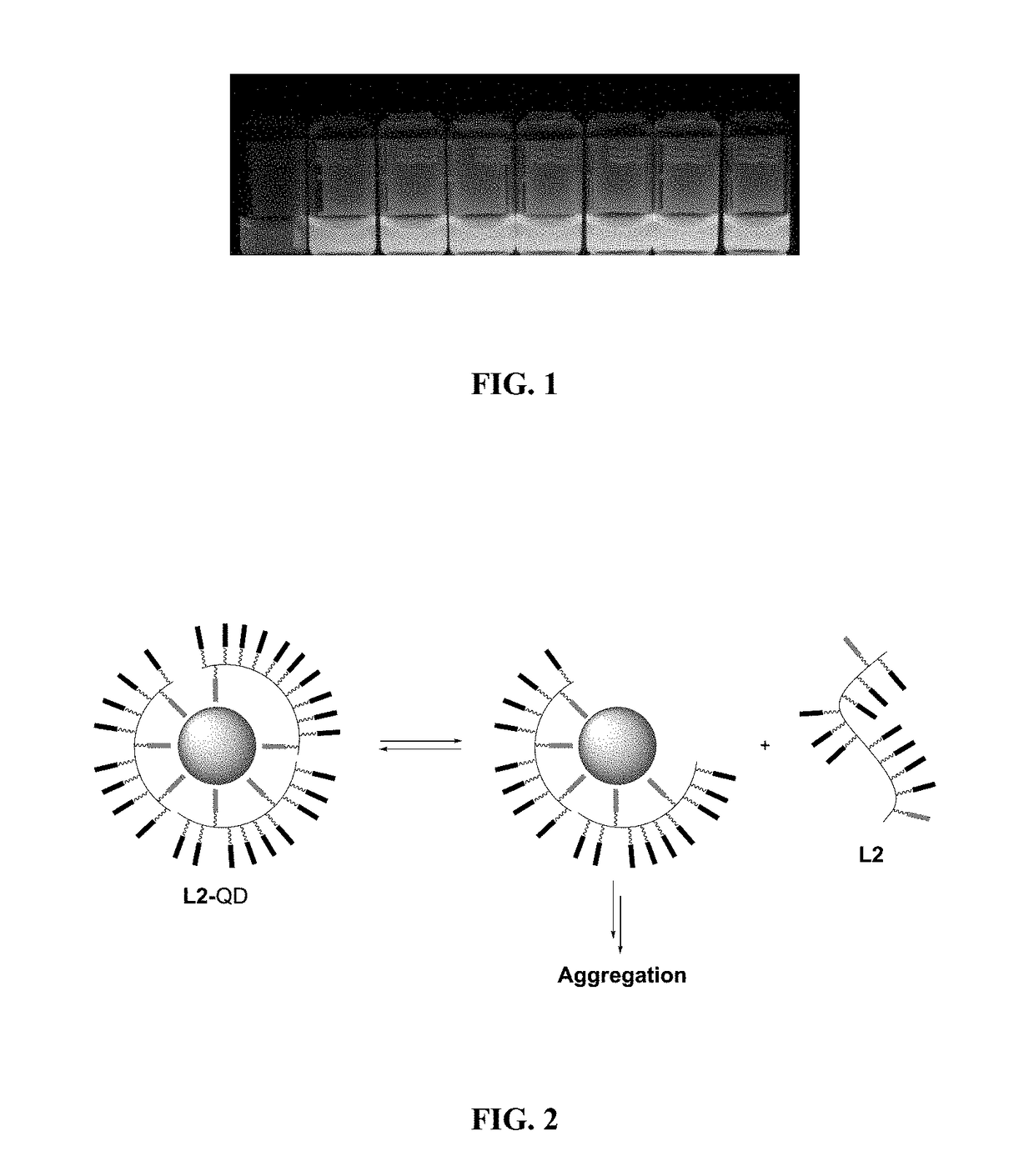 Enhanced affinity ligands