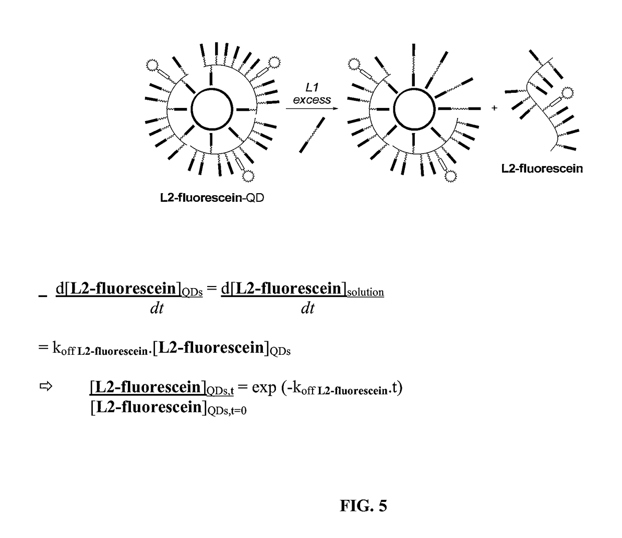 Enhanced affinity ligands