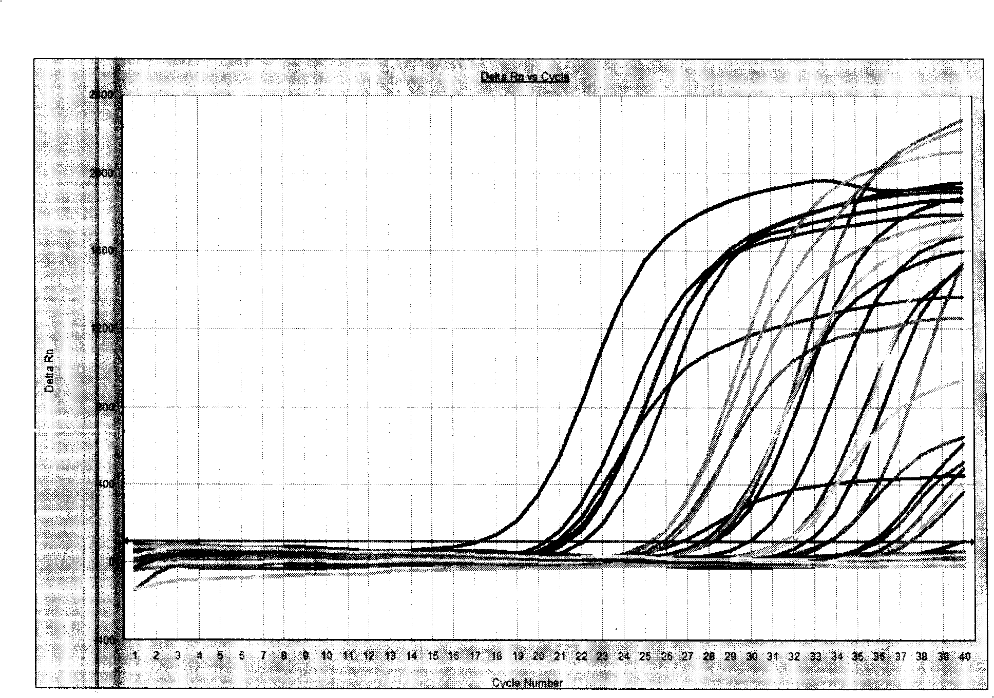 Fluorescence PCR method for diagnosis of human papilloma viral infection