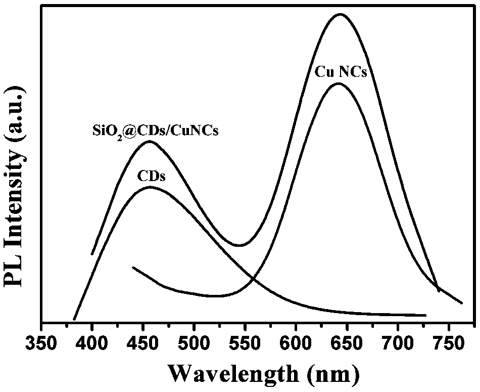 Preparation method of dual-emission colorimetric fluorescence nano-microsphere and application of nano-microsphere in bacterial detection