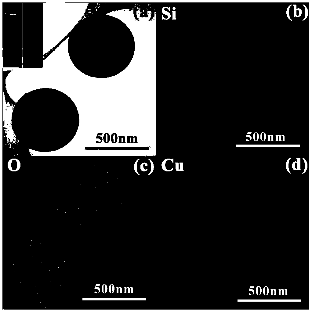 Preparation method of dual-emission colorimetric fluorescence nano-microsphere and application of nano-microsphere in bacterial detection