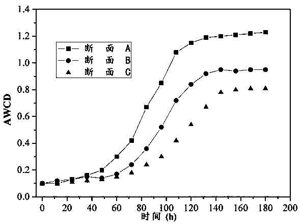 Method for evaluating environmental flow of water-reducing river reach of river source area based on carbon metabolism rate