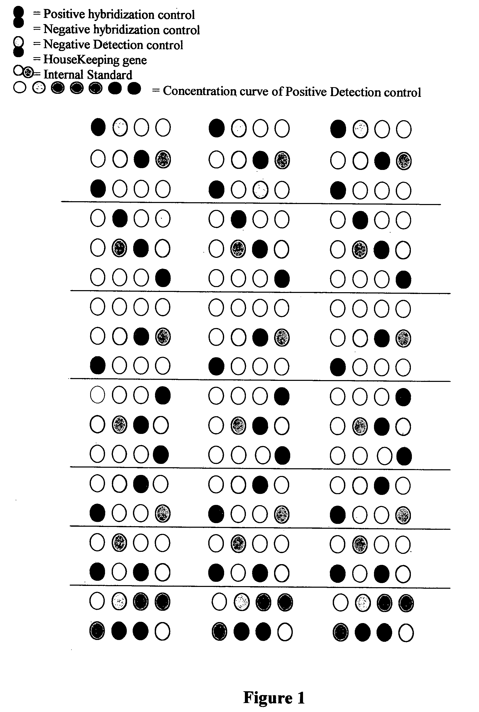 Method for quantitative determination of multi-drug resistance in tumors