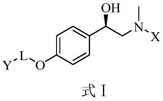 Synephrine derivatives and their preparation methods and applications