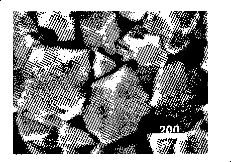 Preparing method of porous carbon electrode of super capacitor with high magnified charge-discharge performance