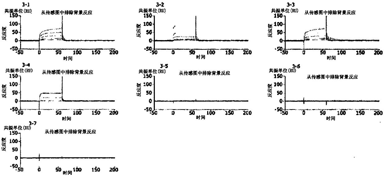 Agonist peptide for adiponectin receptor