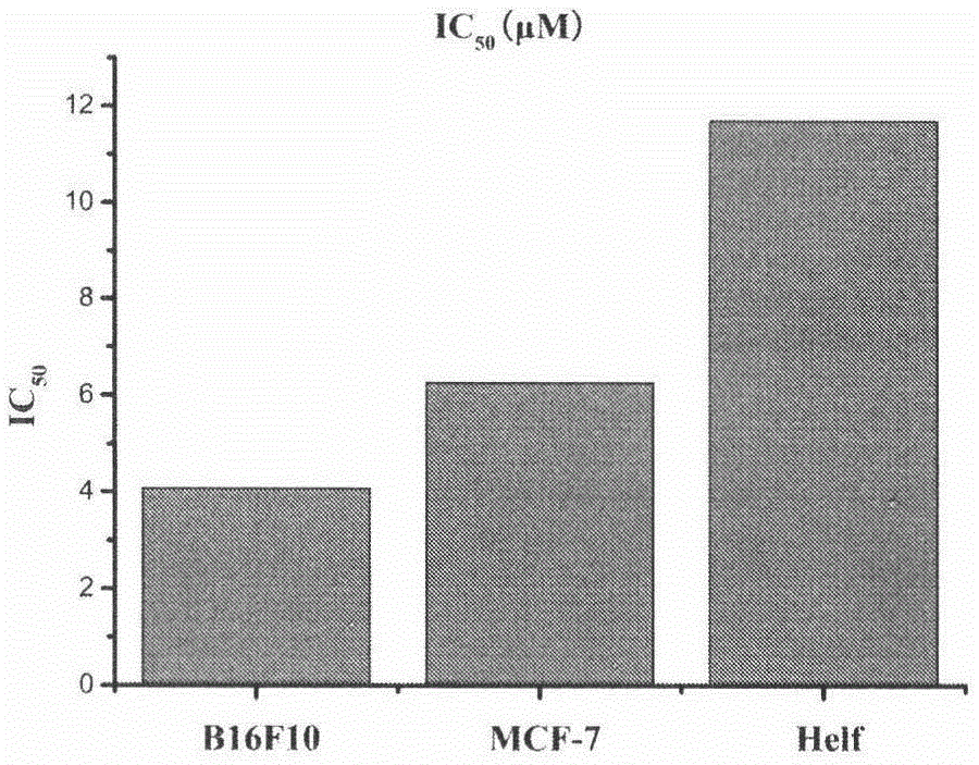 23-hydroxybetulinic acid fluorescent probe and its preparation method and use in cellular localization and uptake