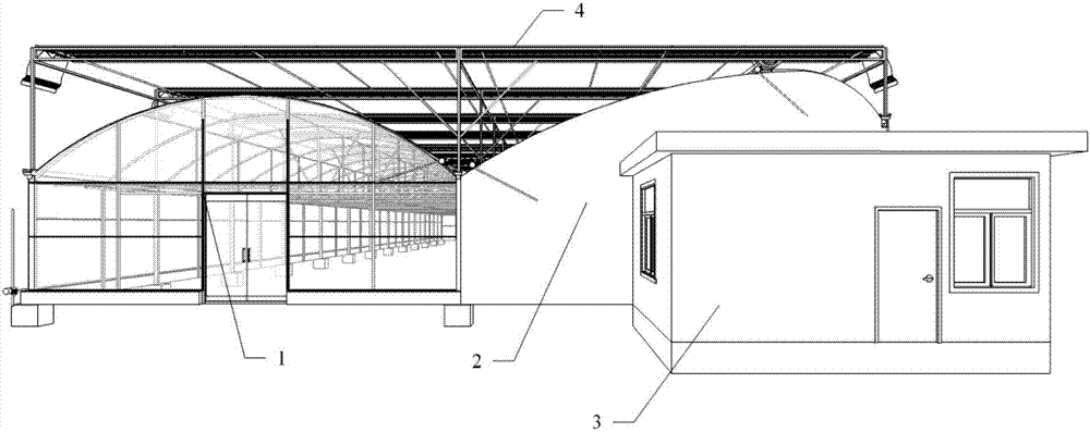 Multi-span solar greenhouse used for annual production in Yangtze River basin region