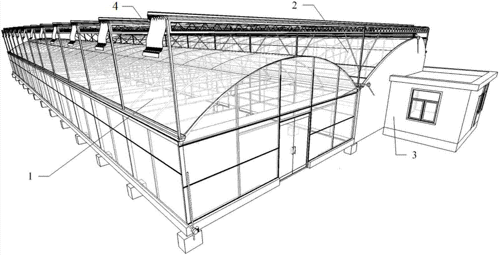 Multi-span solar greenhouse used for annual production in Yangtze River basin region