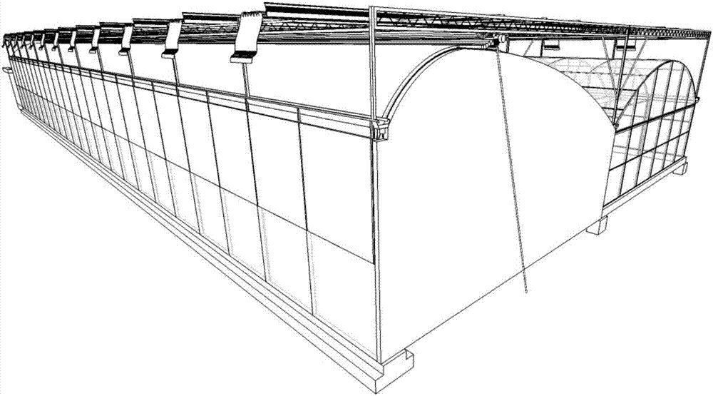 Multi-span solar greenhouse used for annual production in Yangtze River basin region