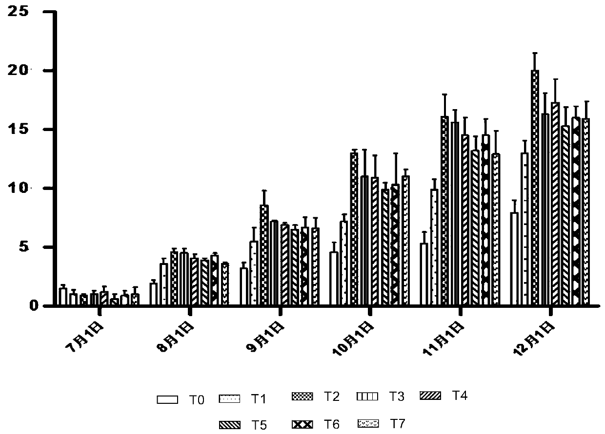 Special biological bacterial fertilizer for macadimia nuts and preparation method thereof