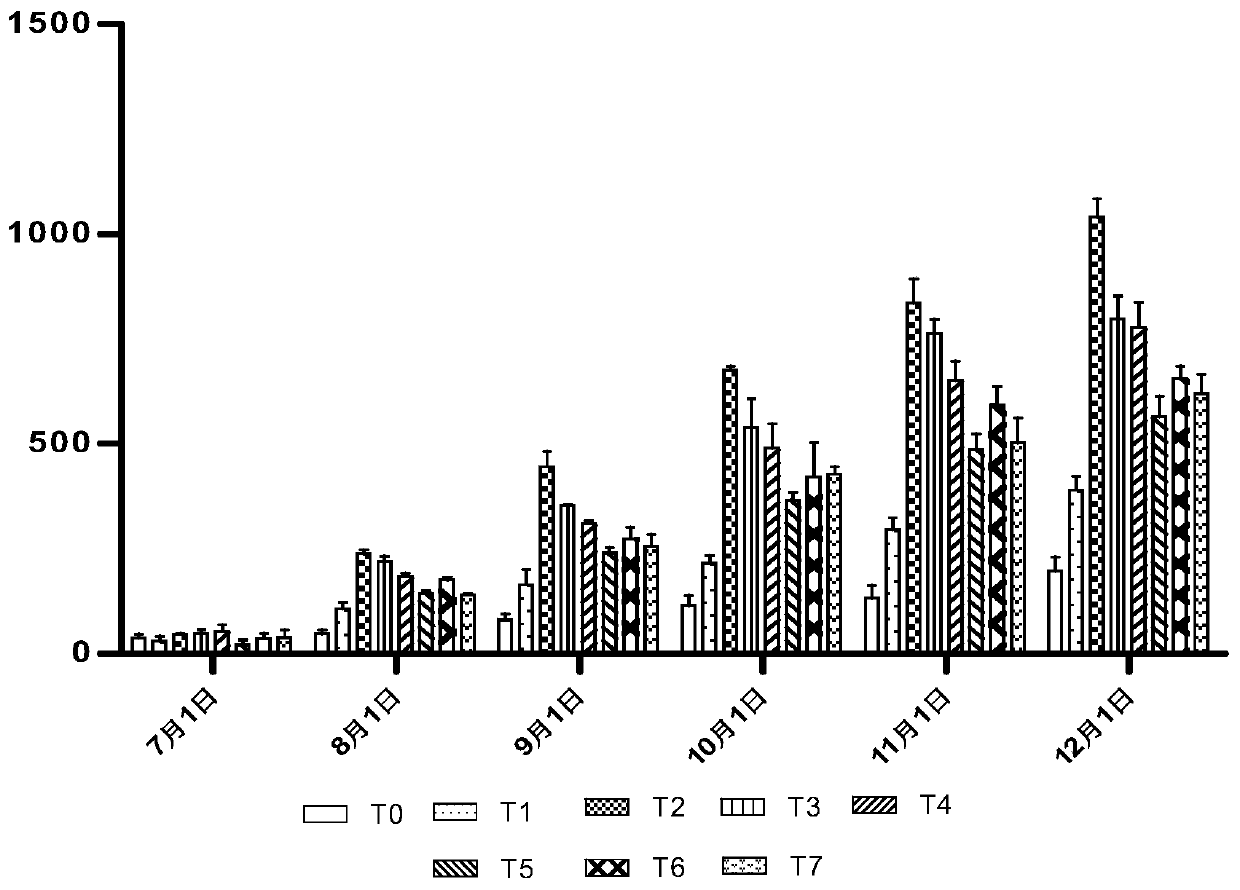 Special biological bacterial fertilizer for macadimia nuts and preparation method thereof