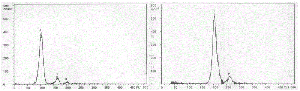 A method for batch induction of turbot tetraploid fry