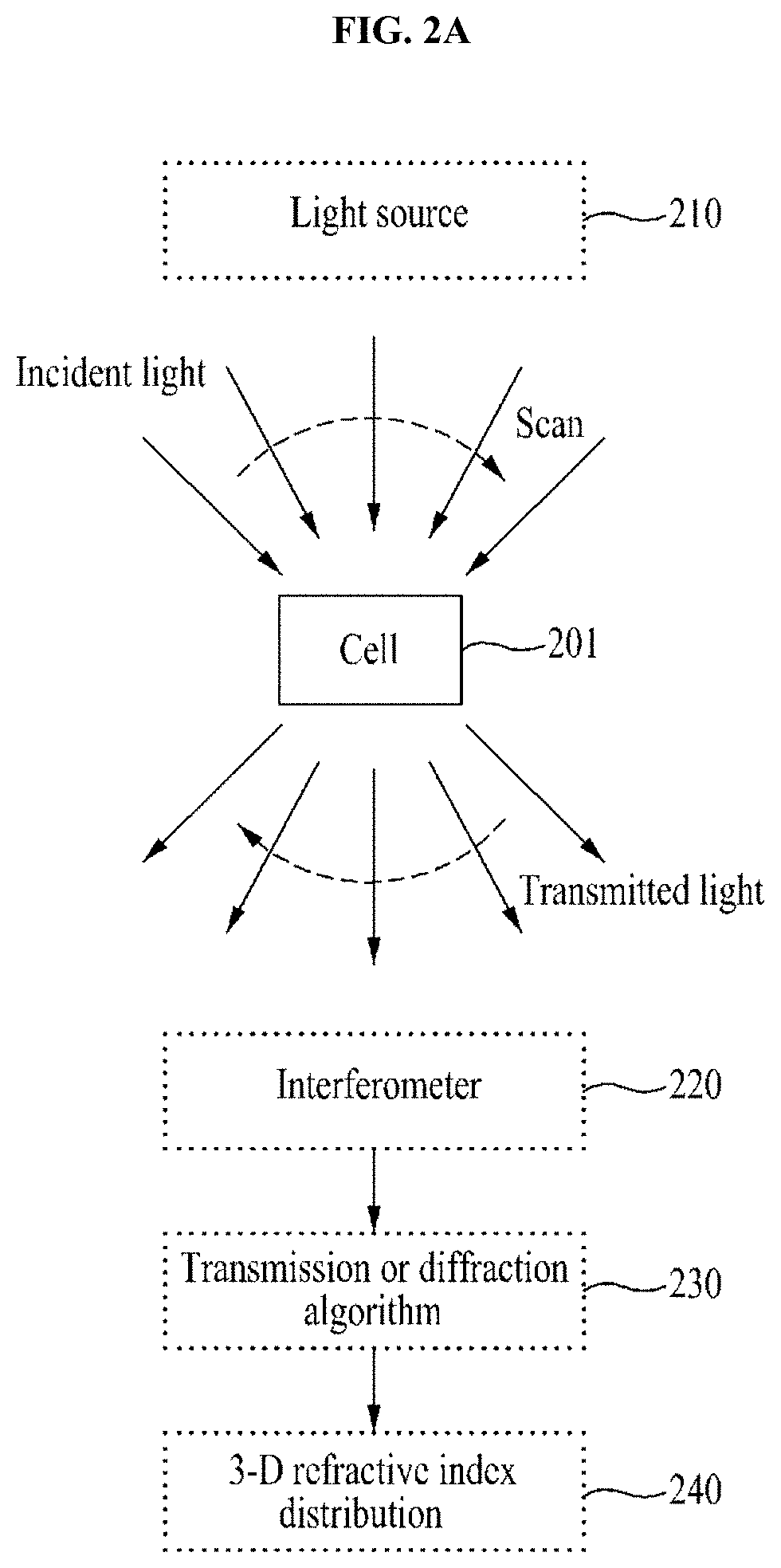 Method and apparatus for rapid diagnosis of hematologic malignancy using 3D quantitative phase imaging and deep learning