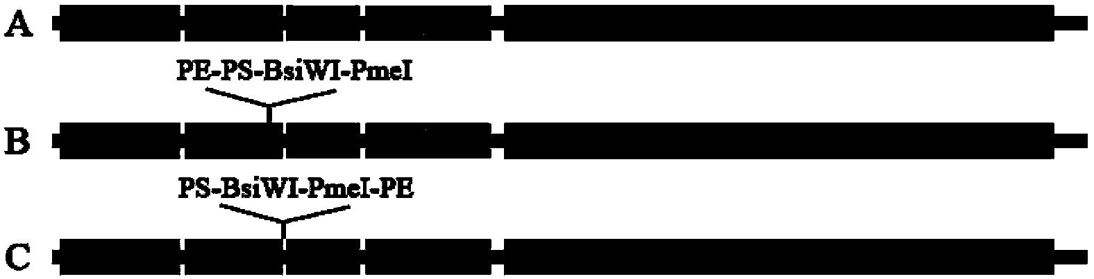 Preparation method of recombination live vector vaccines for diseases of canid and/or feline