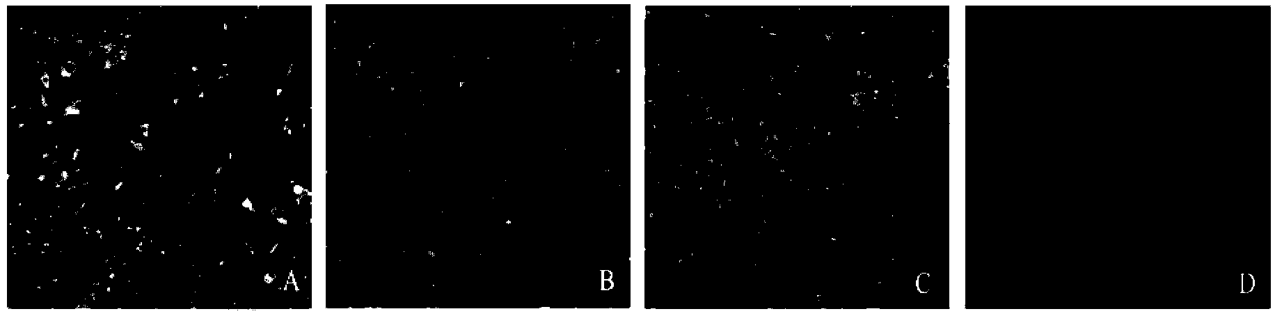 Preparation method of recombination live vector vaccines for diseases of canid and/or feline