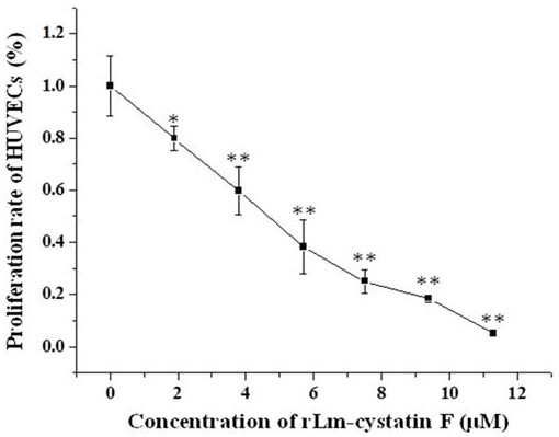 Hagfish oral gland cystatin, preparation method and application