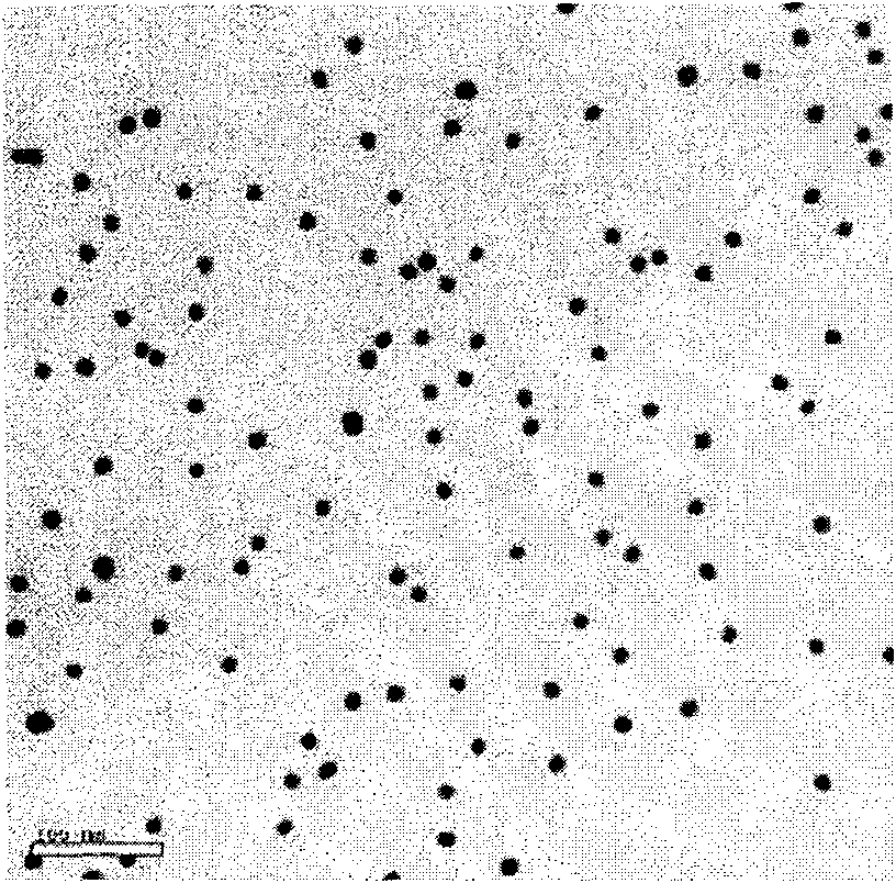 Nanotechnology-based trace protein detection method