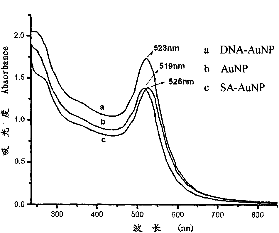 Nanotechnology-based trace protein detection method