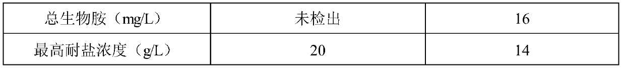 Lactobacillus plantarum QR19 and application thereof