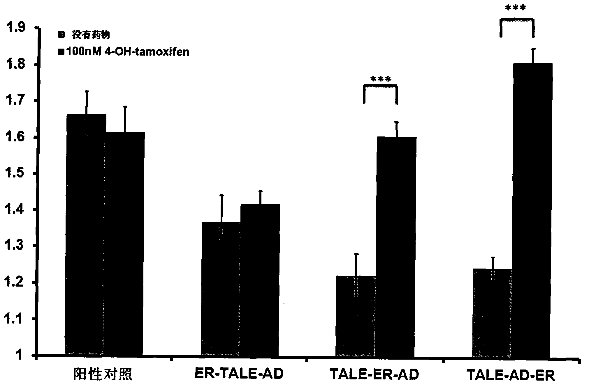 Transcription activator like effector-functional group-estrogen receptor function protein and application thereof