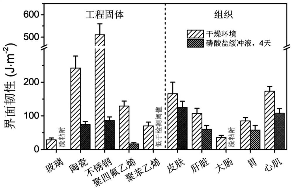 Preparation method of continuous adhesion hydrogel, hydrogel obtained by preparation method and application of hydrogel