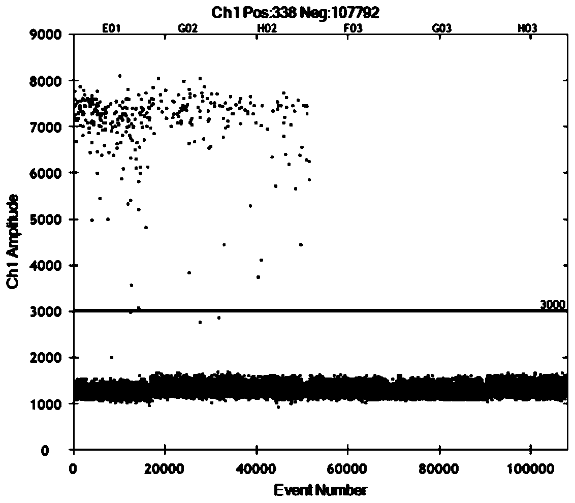 Specific primers for quantitative detection of red-eared slider biomass in environment and detection method and application of specific primers