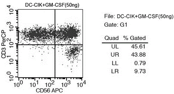 Co-culture method of DC cell and CIK cell