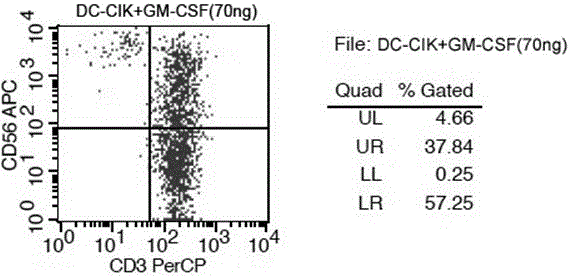 Co-culture method of DC cell and CIK cell