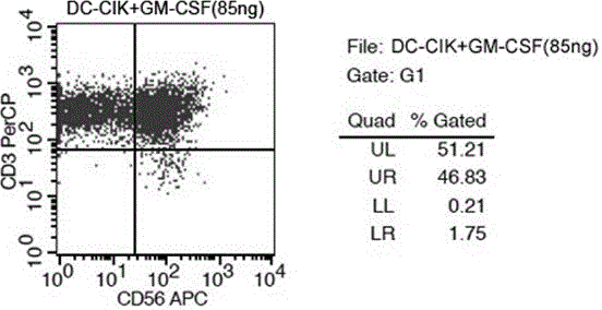 Co-culture method of DC cell and CIK cell