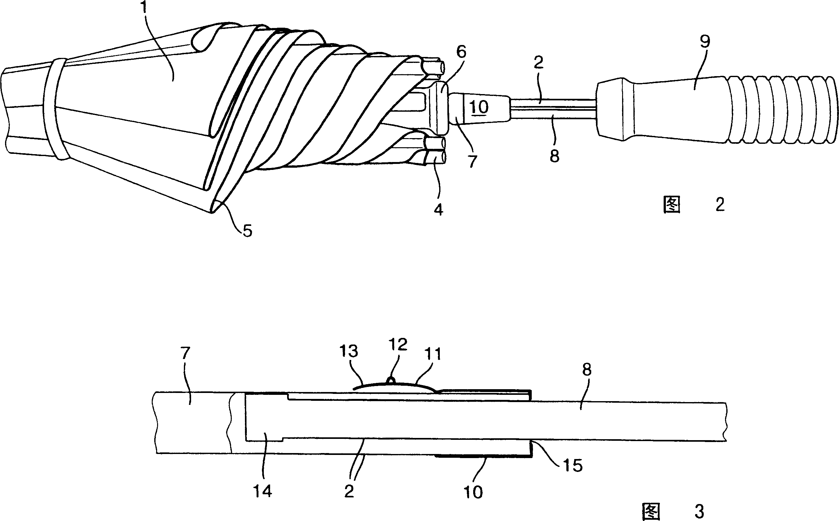 Umbrella