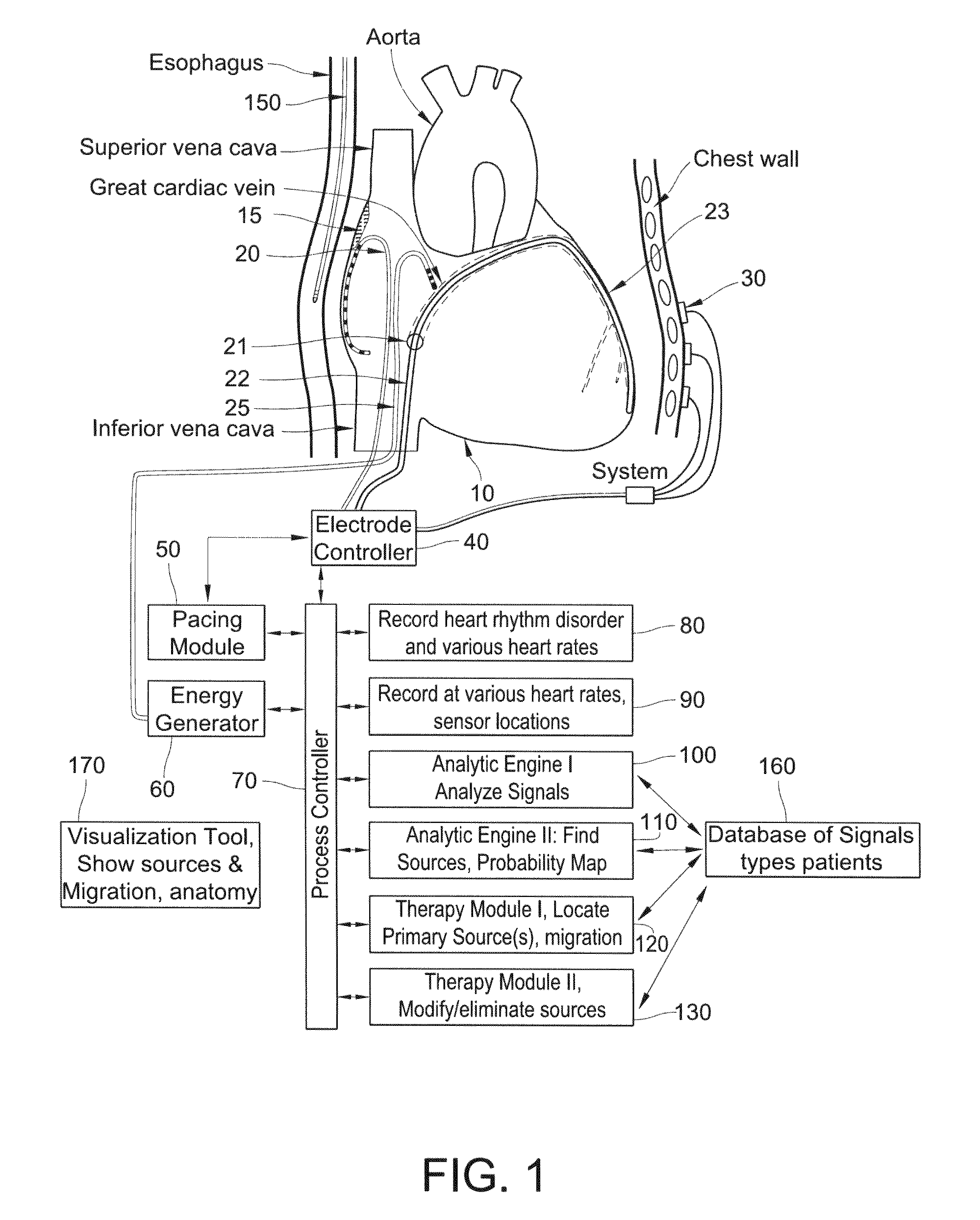 Methods for the detection and/or diagnosis of biological rhythm disorders