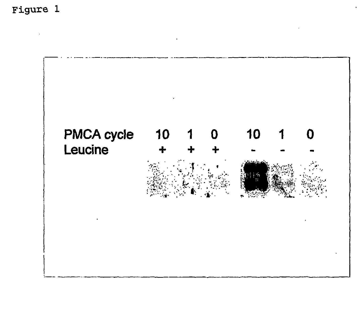 Method for suppressing proliferation of abnormal prion protein