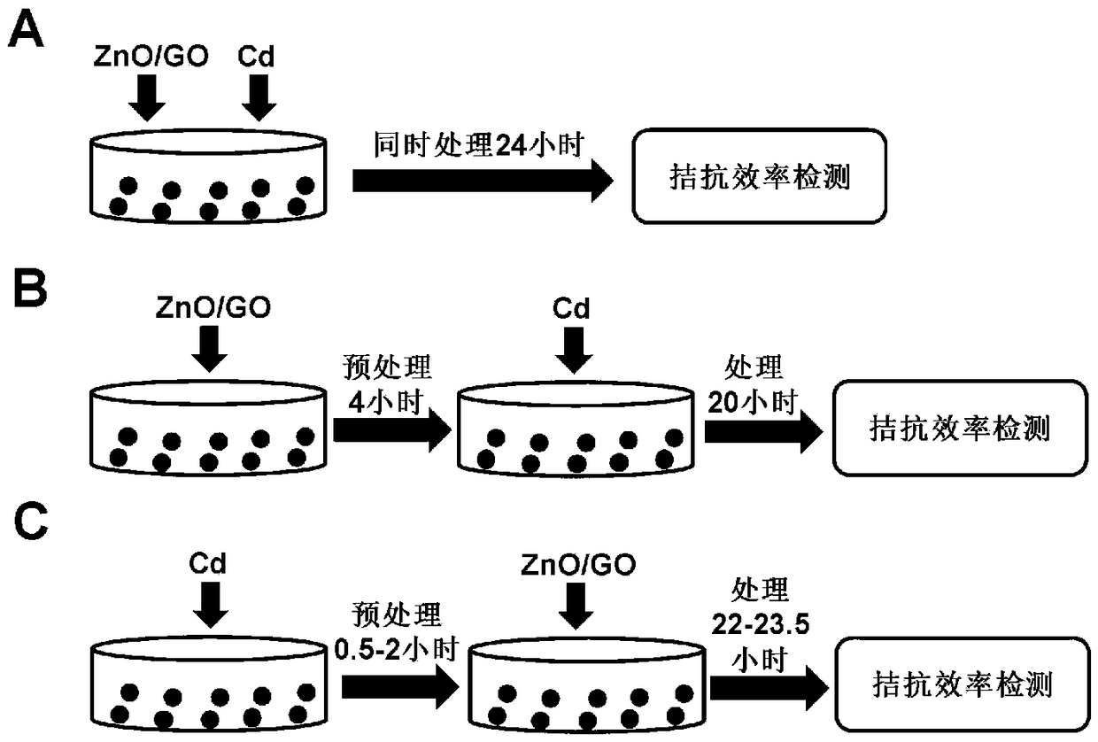 Method for resisting against heavy metal Cd toxicity on basis of ZnO/GO composite nanomaterial