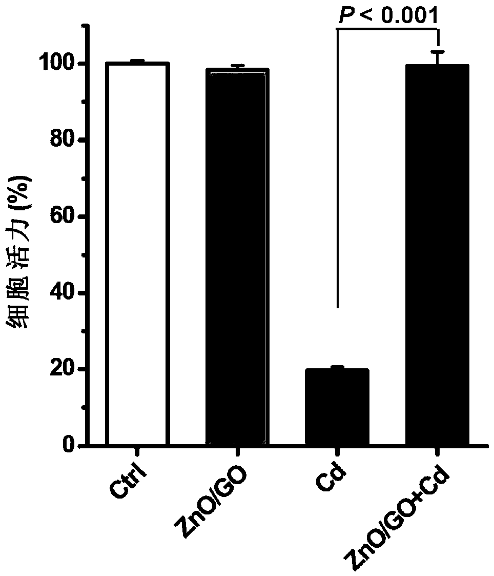 Method for resisting against heavy metal Cd toxicity on basis of ZnO/GO composite nanomaterial