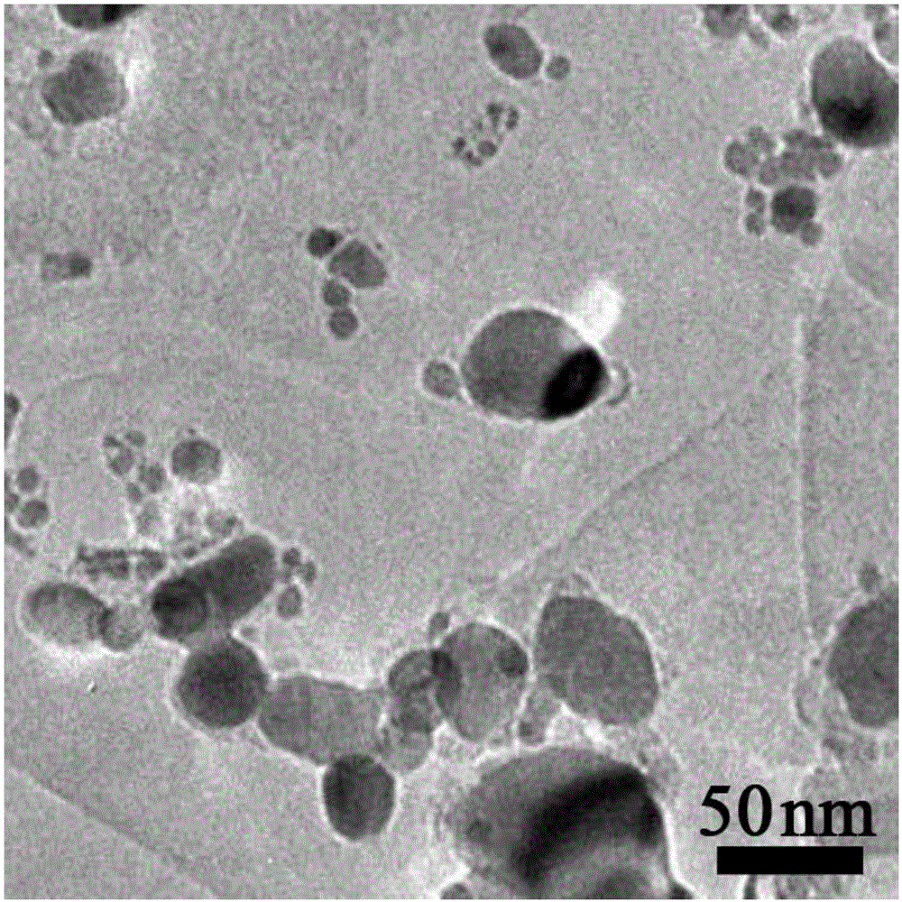 Co@C@g-C3N4 nanometer composite and preparing method and application thereof