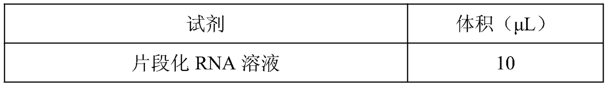 Method for constructing chain specific RNA library and application